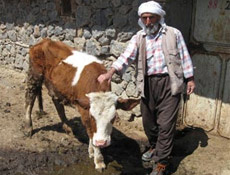 İdrarını karın bölgesinden yapıyor