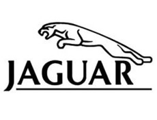 Jaguarın geleceği tehlikede